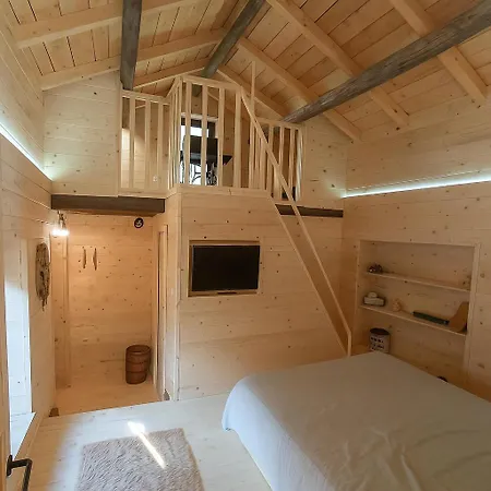 Daire Dolomiti House Cencenighe